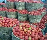 Onions, Tomatoes Prices Rise In Enugu